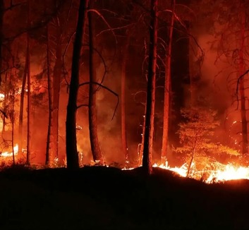 Tűz ütött ki a Párizshoz közeli Fontainebleau-i erdőben - illusztráció