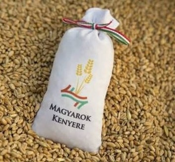 Magyarok-kenyere: Több mint 80 tonna búzát gyűjtöttek össze a kárpátaljai gazdák - illusztráció