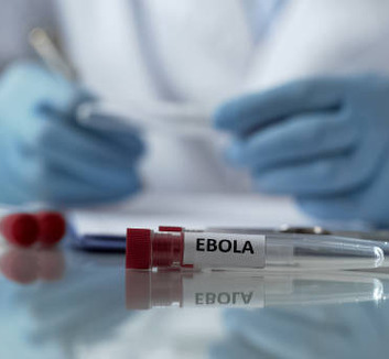 Nemzetközi közegészségügyi vészhelyzetet hirdetett a WHO az Ebola új fajtája miatt - illusztráció