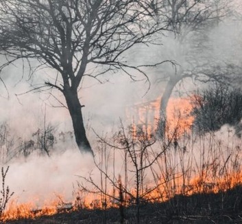 Továbbra is számos tűz pusztít Montenegróban, Észak-Macedóniában és Horvátországban – repülőgépeket is bevetettek - illusztráció