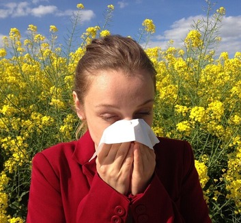 Mivel enyhíthetők az allergia tünetei? - illusztráció