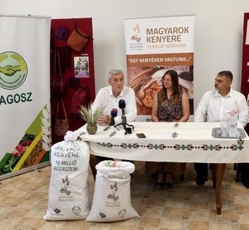 Elindult az idei Magyarok kenyere búzagyűjtés - illusztráció