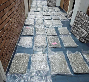 Több mint 58 kilogramm marihuánát foglalt le a rendőrség Kamenicán - illusztráció