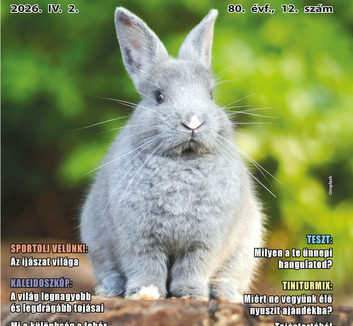 Jó Pajtás (2026 április 2.): Tojás, nyúl és tavasz - illusztráció