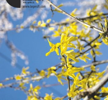 Képes Ifjúság (2026. április 22.): Csók a családnak - illusztráció