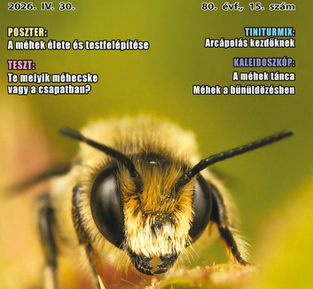 Jó Pajtás (április 30.): Hogyan zajlott a Szólj, síp, szólj! népzenei vetélkedő Óbecsén - illusztráció
