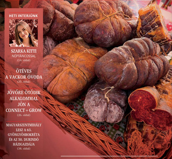 Hét Nap (szeptember 30.): Az elnöki székből a kampányba - illusztráció