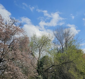 Változóan felhős és kissé hűvösebb idő, délután helyenként eső is lehet - illusztráció