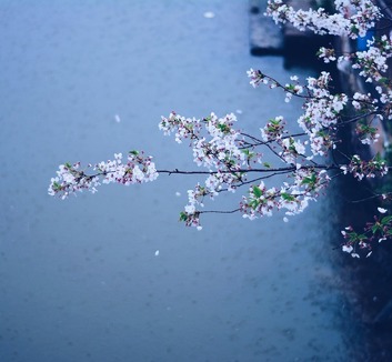 Változékony, hűvös idővel indul a hét, többfelé eső várható - illusztráció