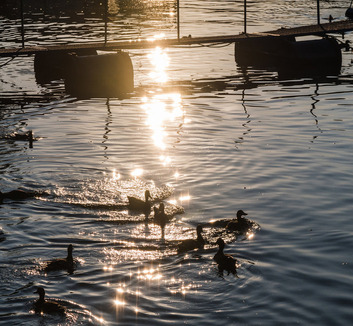 Kora nyárias hétvége, kedden már jöhet némi eső - illusztráció