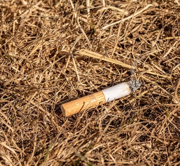 Egyetlen szikra is elég lehet: Fokozott tűzveszélyre figyelmeztet a Srbijašume - illusztráció