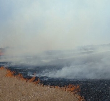 Ellenőrzés alá vonták a tarlóégetések miatt keletkezett tüzeket - illusztráció