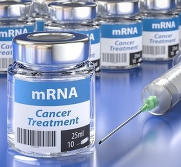 Hatékonyabb mRNS-vakcinák fejlesztésén dolgoznak a Szegedi Biológiai Kutatóközpont szakemberei - illusztráció