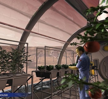 Gombák tehetik termékennyé a Hold és Mars talaját - illusztráció