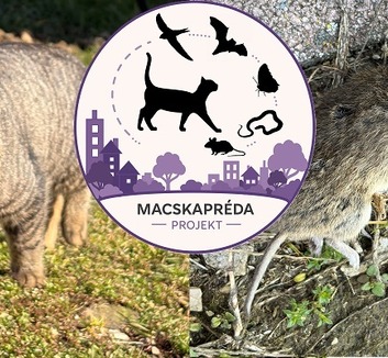 Macskapréda Projekt: A házimacskák vadászatát térképezik fel lakossági megfigyelésekkel - illusztráció
