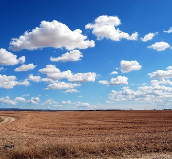 Nyolc év alatt 62 ezer agrárgazdaság szűnt meg Szerbiában - illusztráció
