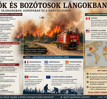 Erdő- és bozóttüzek pusztítanak  – Vajdaságtól Kanadáig - illusztráció