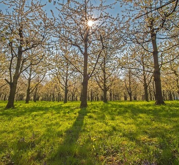 Tavaszias napsütés Vajdaságban, akár 20 fokkal - illusztráció