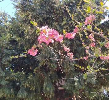 Napos, de szeles idő várható Vajdaságban - illusztráció