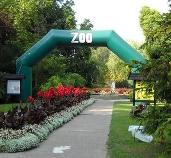 Vizsgálat indult a Palicsi Állatkert ügyében - illusztráció