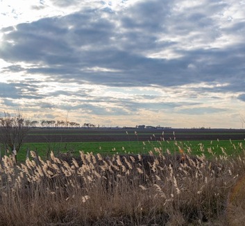 Hétvégi időjárás Vajdaságban: Egyre melegebb, több napsütéssel - illusztráció
