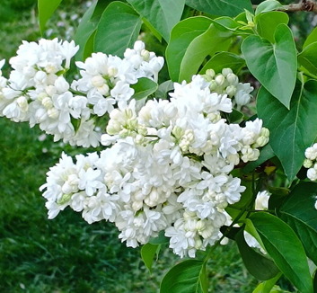 Vajdaság: A hétvégén még 20 fok körül, hétfőtől változékonyabb idő - illusztráció