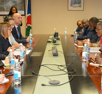 Vajdaság és Namíbia turisztikai együttműködését erősítenék - illusztráció