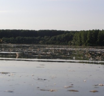 Két férfi tűnt el a Tiszában Zentánál - illusztráció