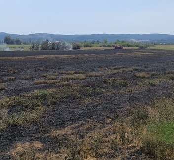 2.000 négyzetméternyi terület égett le Péterváradon - illusztráció