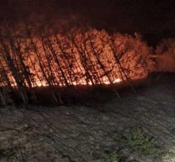 Az erős szél miatt ismét lángra kapott a növényzet a Delibláti-homokpusztán - illusztráció