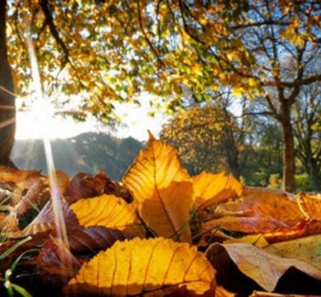 Kellemes őszi idővel búcsúzik a szeptember - illusztráció